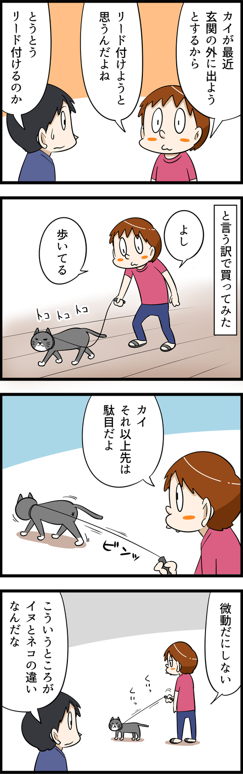 4519