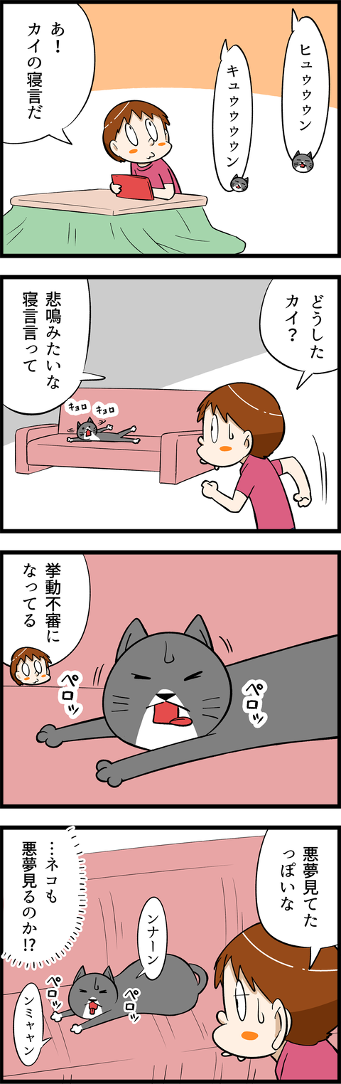 3781