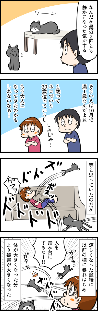 1629
