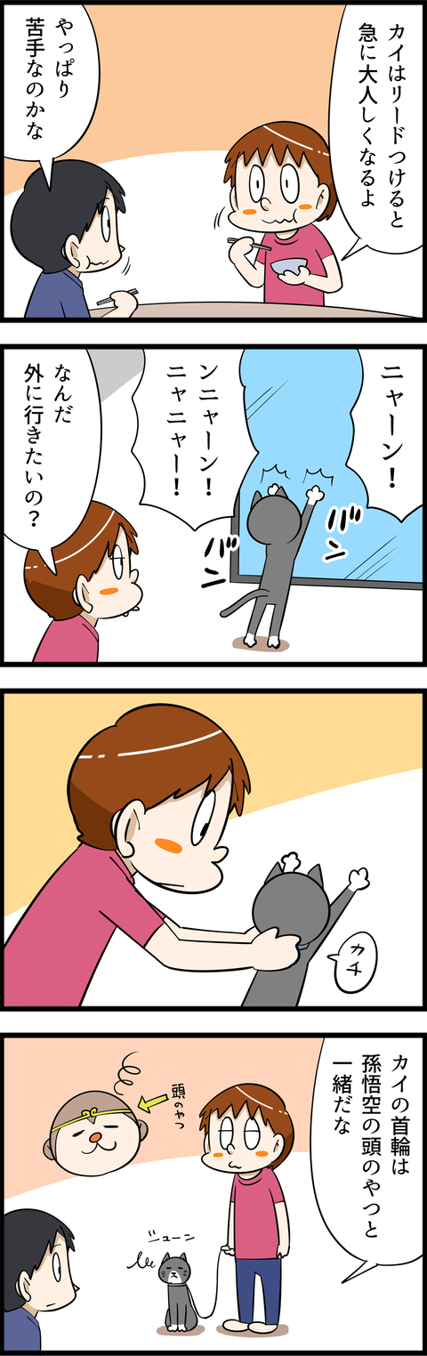 4538