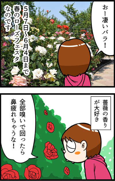 f:id:rise_more:20160528001320j:plain