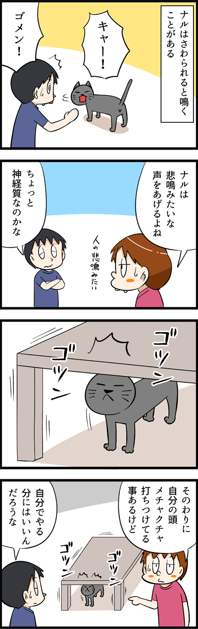 うちのネコの基準が分からない じゃじゃ嫁日記 Powered By ライブドアブログ