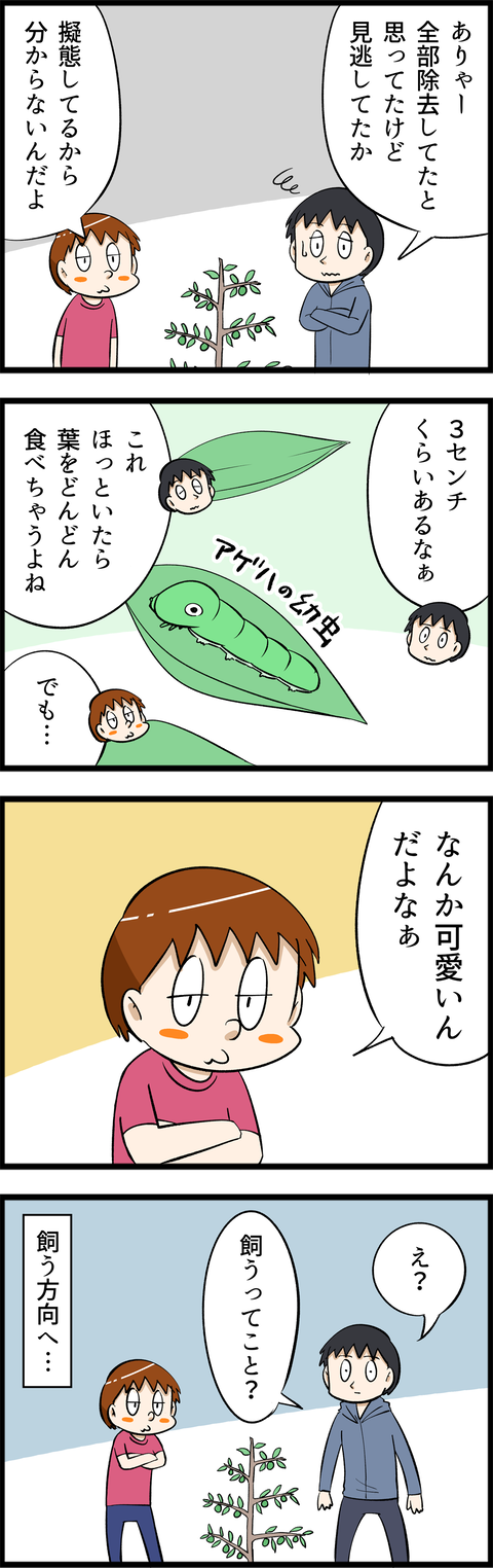 3809