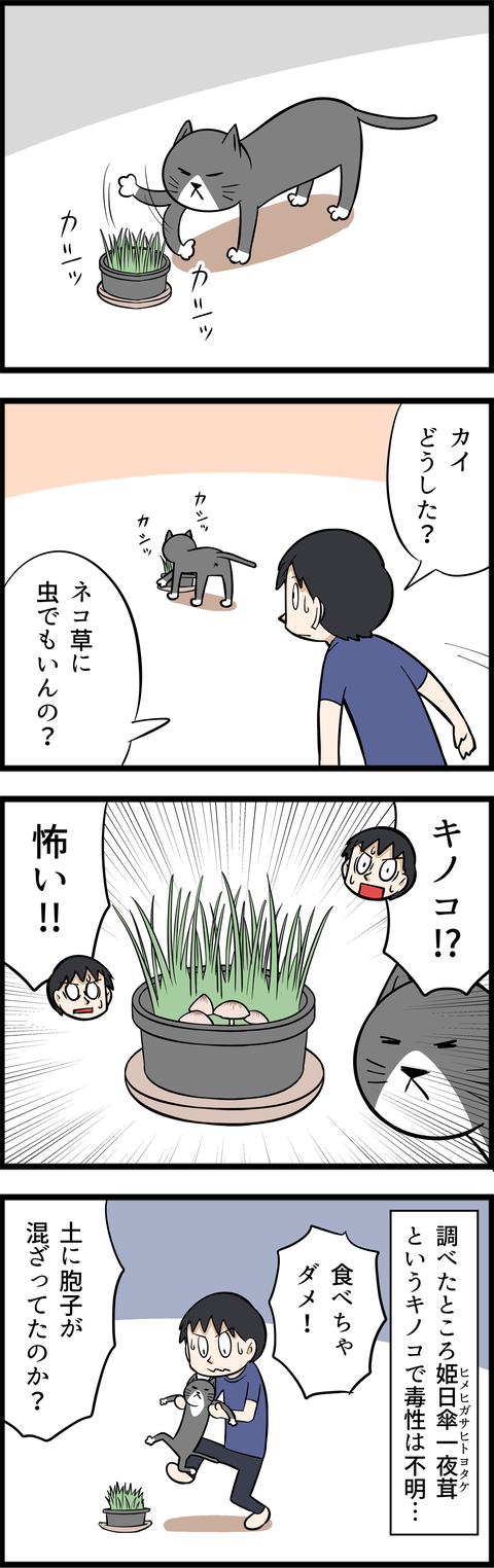 4098