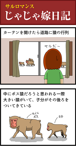 f:id:rise_more:20141124080849j:plain f:id:rise_more:20141124080849j:plain