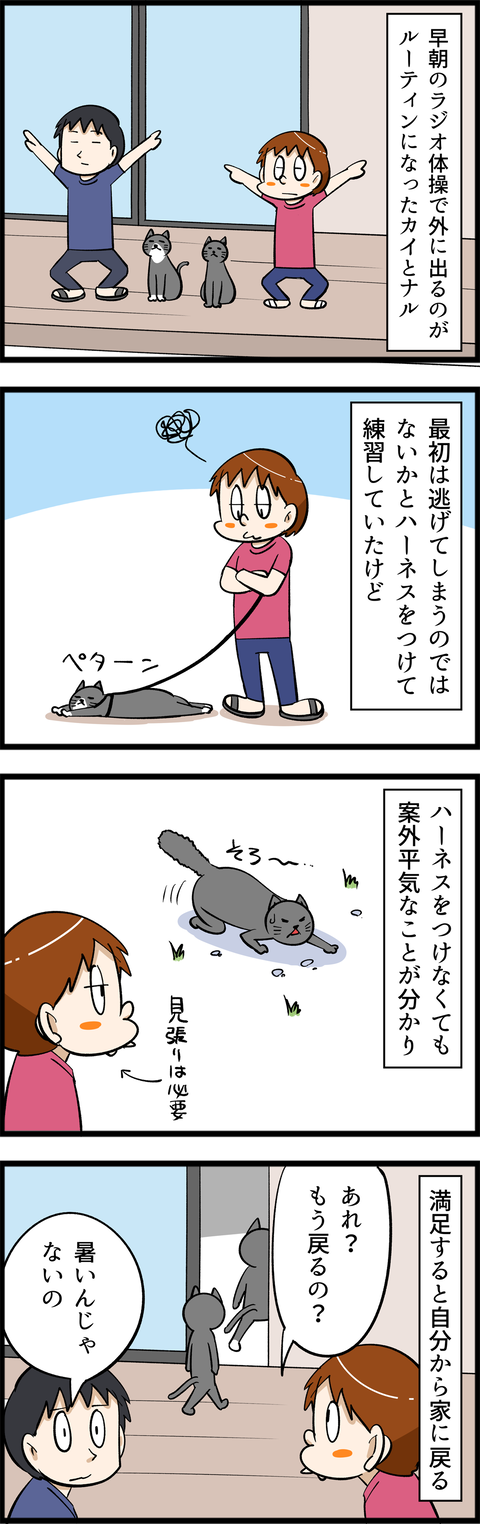 4463
