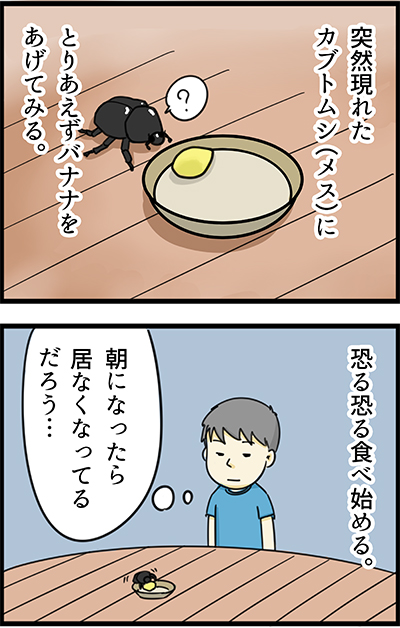 f:id:rise_more:20150613220817j:plain f:id:rise_more:20150613220817j:plain