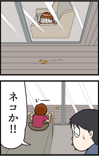 f:id:rise_more:20160517234744j:plain f:id:rise_more:20160517234744j:plain