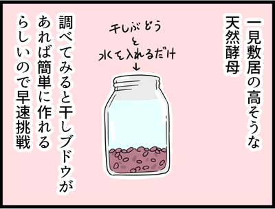 f:id:rise_more:20160525234218j:plain f:id:rise_more:20160525234218j:plain