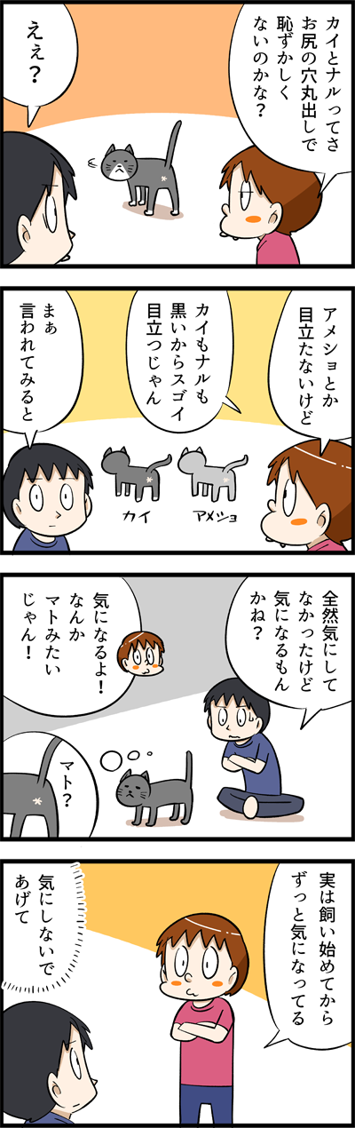 3713
