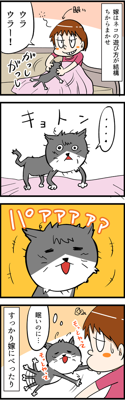 1494