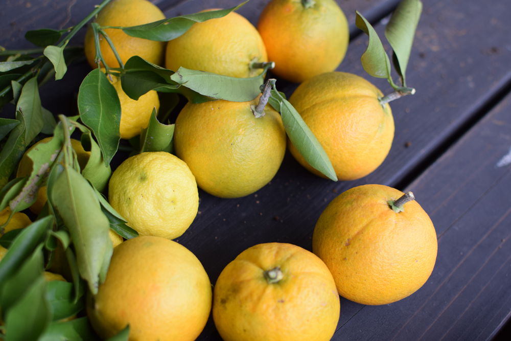 f:id:rise_more:20151128232130j:plain f:id:rise_more:20151128232130j:plain