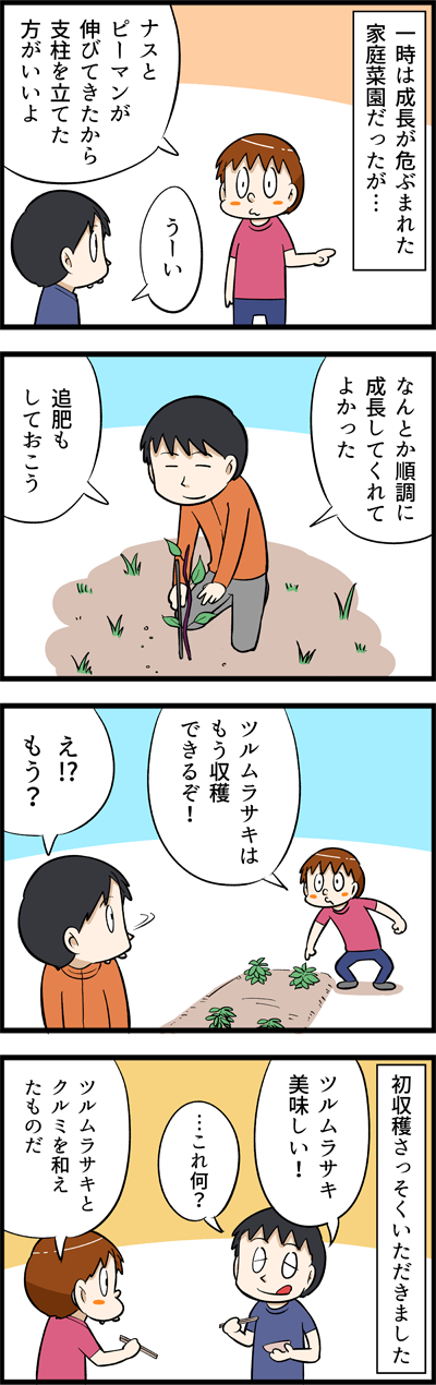 3650