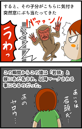 f:id:rise_more:20141124080850j:plain f:id:rise_more:20141124080850j:plain