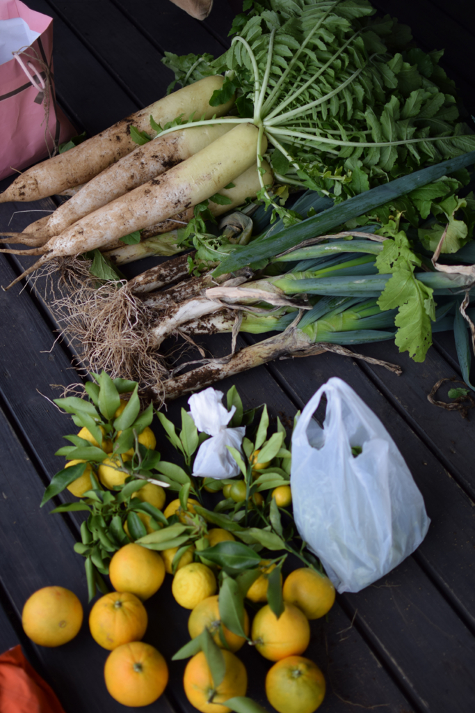 f:id:rise_more:20151128232122j:plain f:id:rise_more:20151128232122j:plain