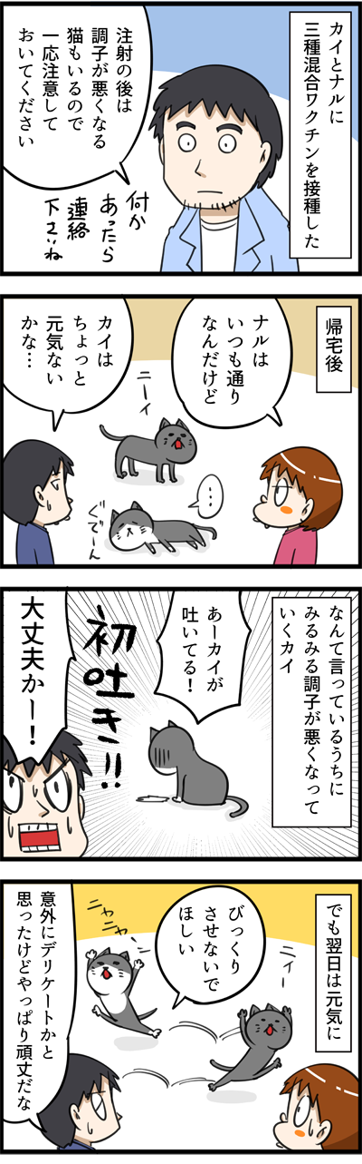ネコに三種混合ワクチンを打った後・・・ : じゃじゃ嫁日記 Powered by