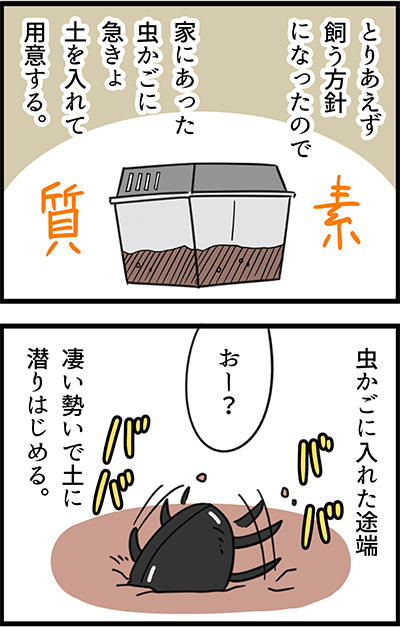 f:id:rise_more:20150613220817j:plain f:id:rise_more:20150613220817j:plain