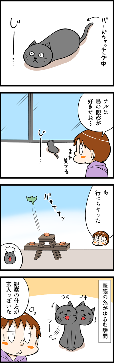 2532
