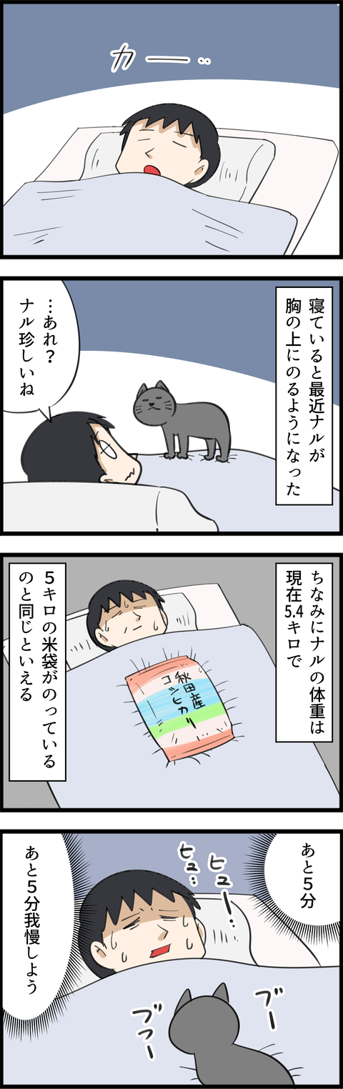 4323