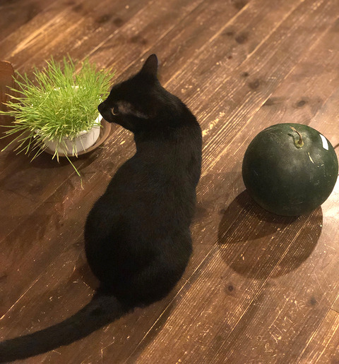 img02