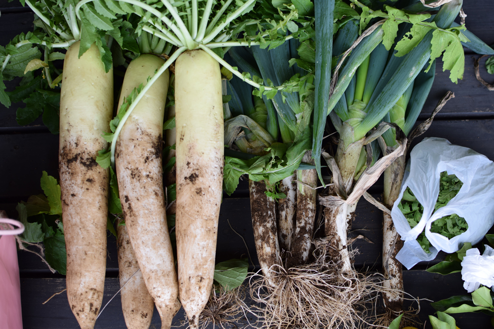 f:id:rise_more:20151128232132j:plain f:id:rise_more:20151128232132j:plain