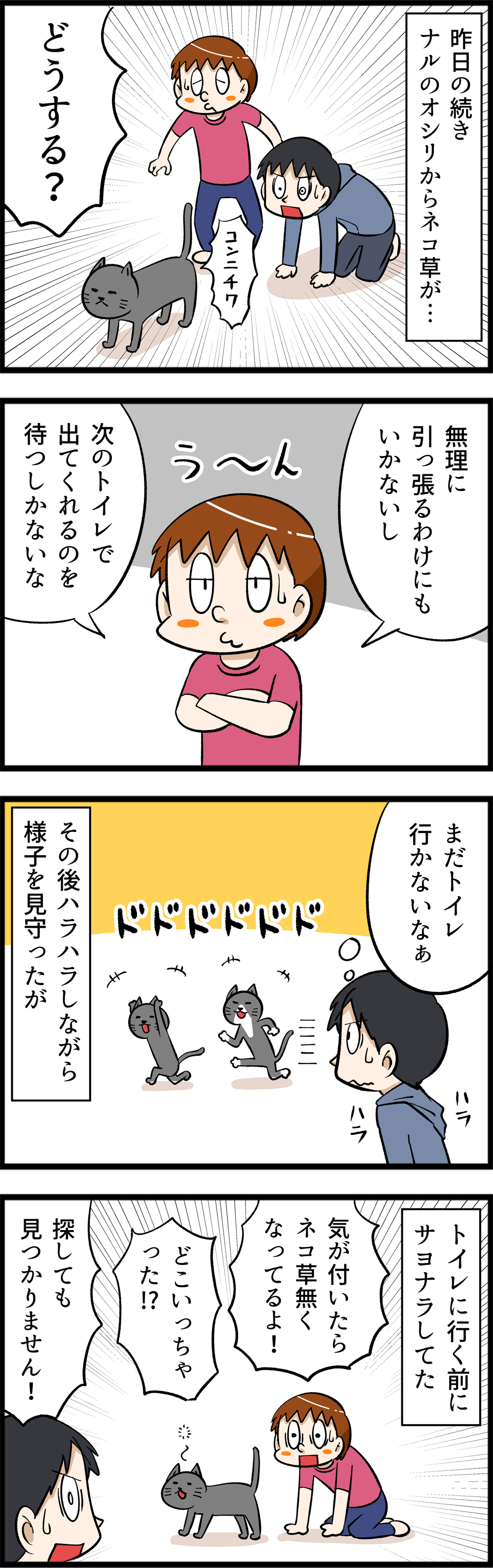 Dumkjrwizdgm9m