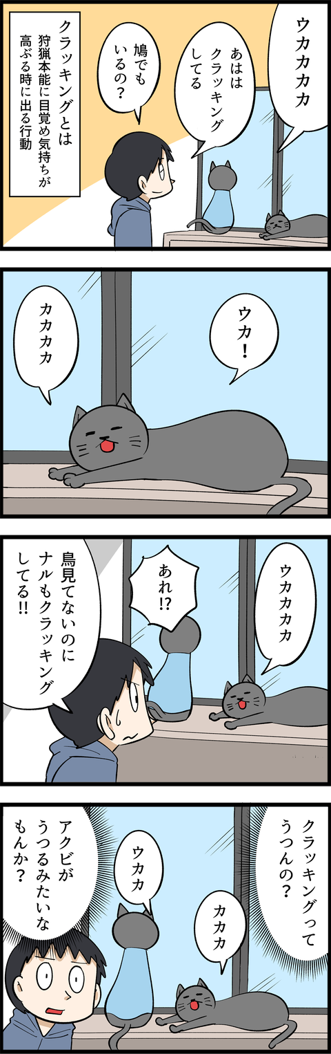 4216