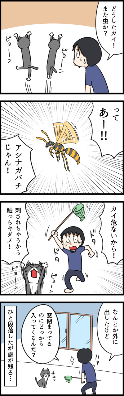 2303