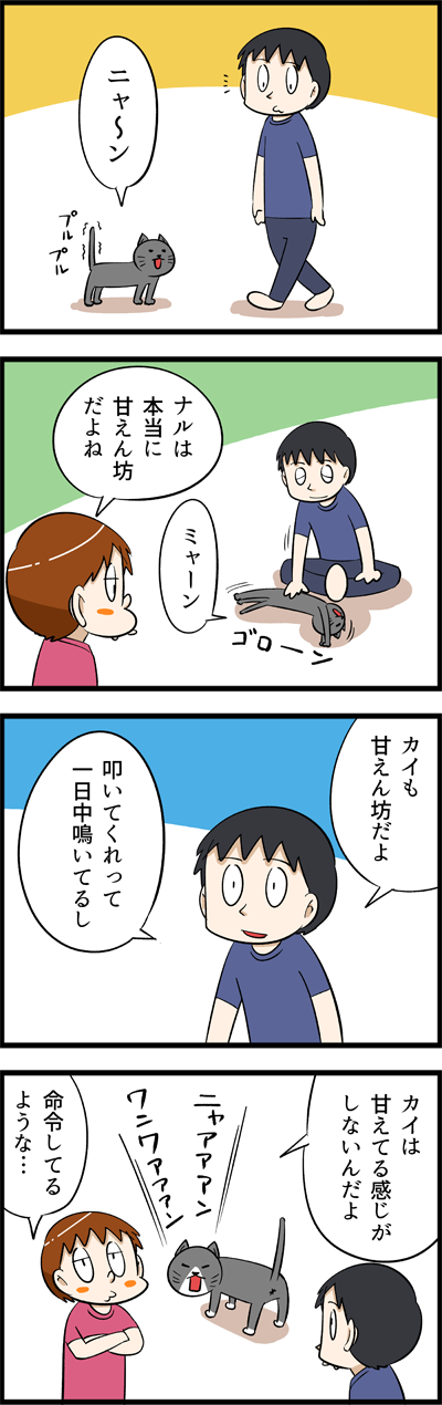 3663