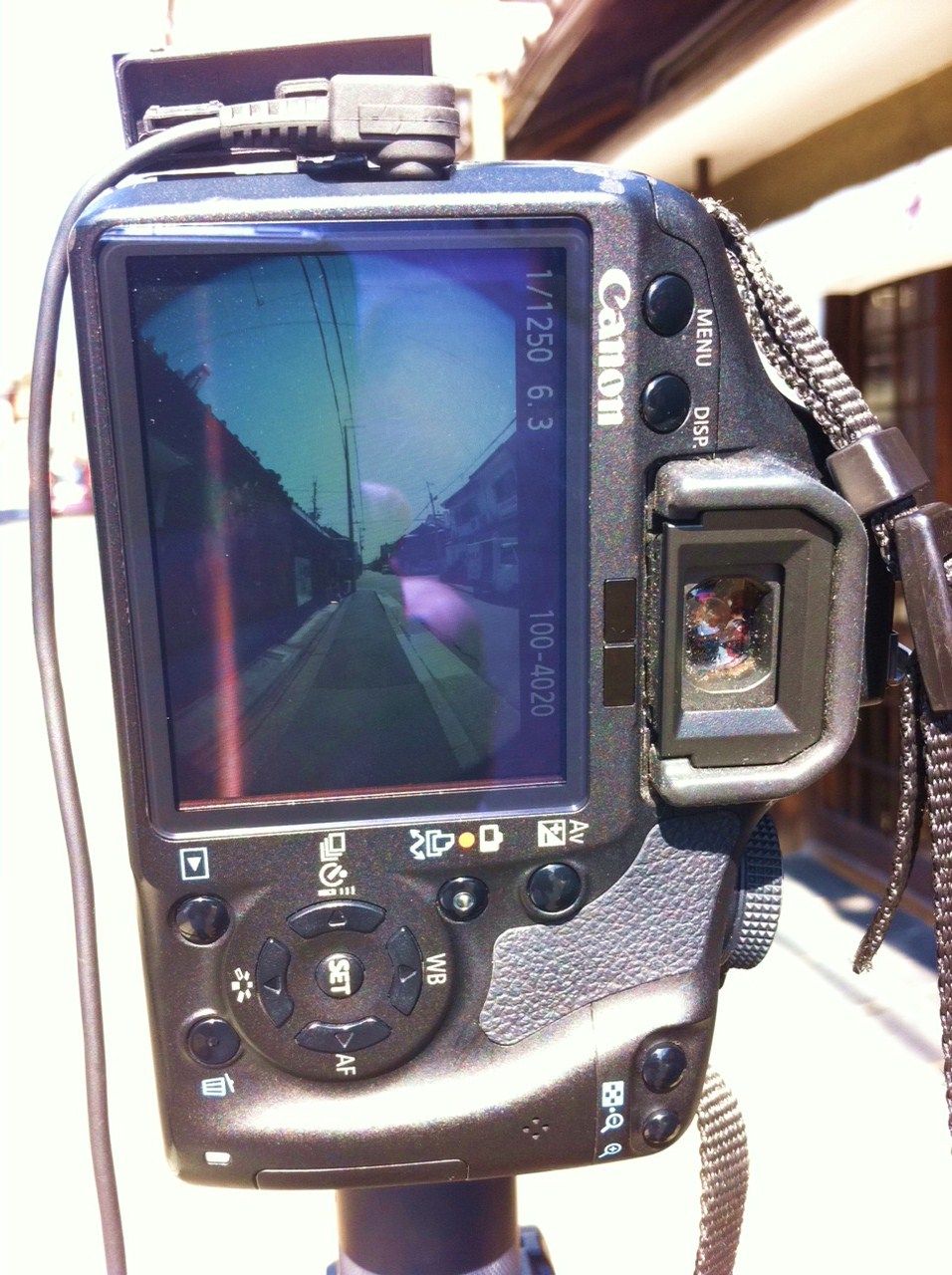 写真 - コピー (2)