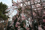 a446316c.JPG