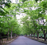 f03a84ef.jpg