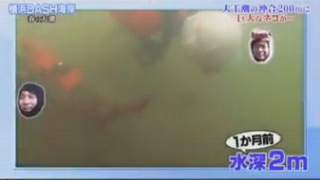 fgdfgdfgsfgsがえ