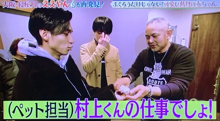 動画 関ジャニ に飼われたいヤツ ちょっと来いｗｗｗ ジャニ勉 ジャニ Com じゃにこむ