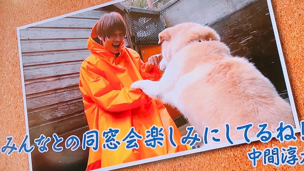 中間淳太 ジャニ Com じゃにこむ 中間淳太 ジャニ Com じゃにこむ