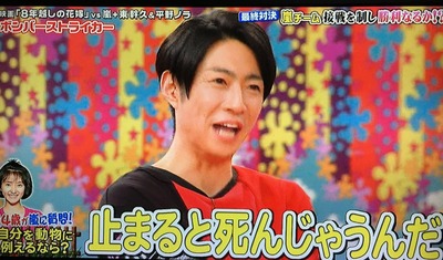 嵐を動物に例えると 大野 ハムスター ニノ 犬 松潤 ペガサス 翔くん リス では相葉くんは ジャニ Com じゃにこむ 嵐を動物に例えると 大野 ハムスター ニノ 犬 松潤 ペガサス 翔くん リス では相葉くんは ジャニ Com じゃにこむ