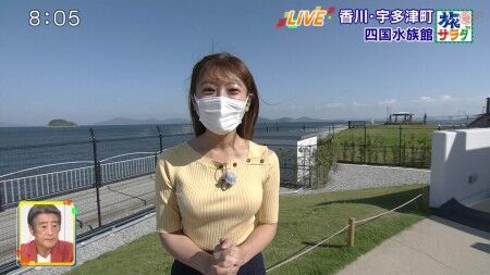 地方局アナのニットパイが気になって水族館に集中できない