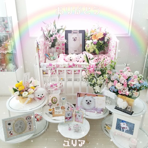 IMG_20171228_193927_648