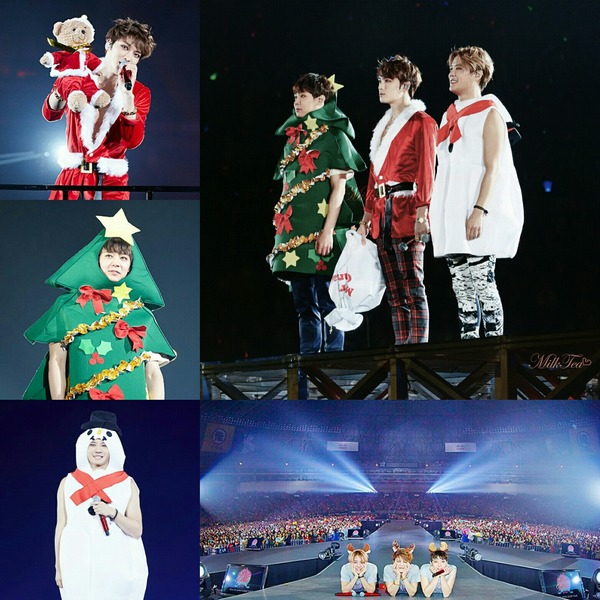 [画像:13096092-s.jpg]