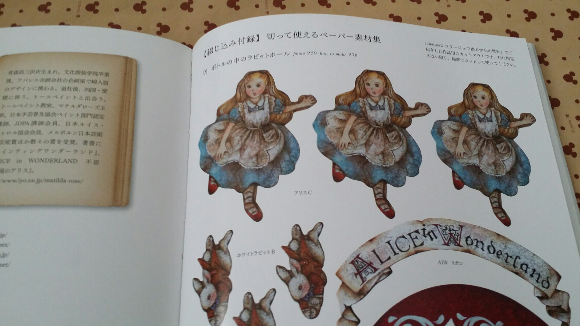 不思議の国のアリスコラージュブック Uvレジンの作品紹介 Beauty Moon