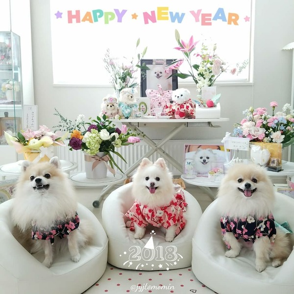 IMG_20180101_123858_126