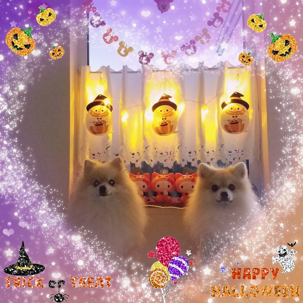 [画像:4fcaa907-s.jpg]