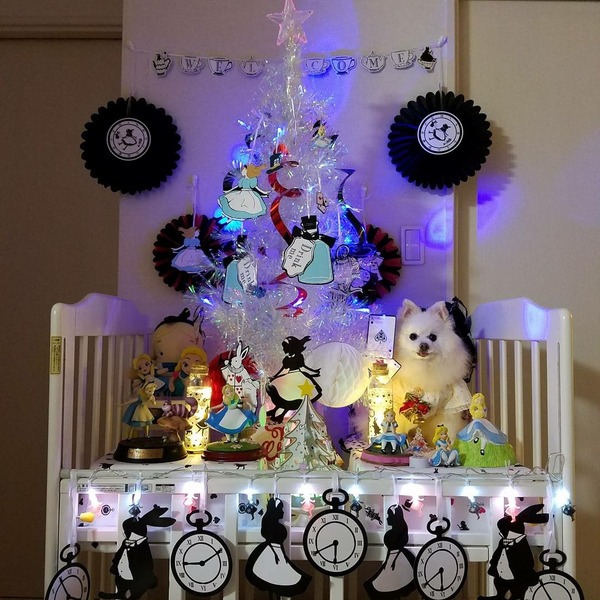 [画像:75e3a122-s.jpg]