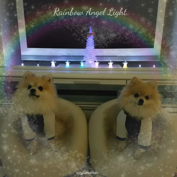 [画像:a9a9bc15-s.jpg]