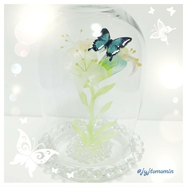 IMG_20180111_184543_736