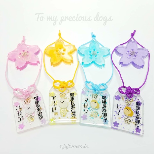 IMG_20171231_093232_172