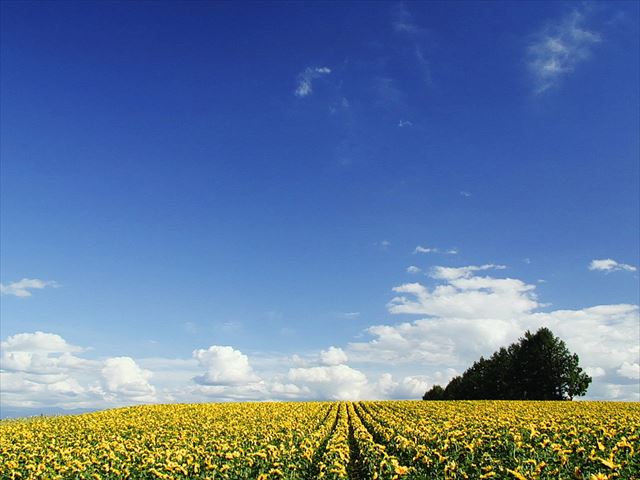 hokkaido-august-highlight-and-event-01_R