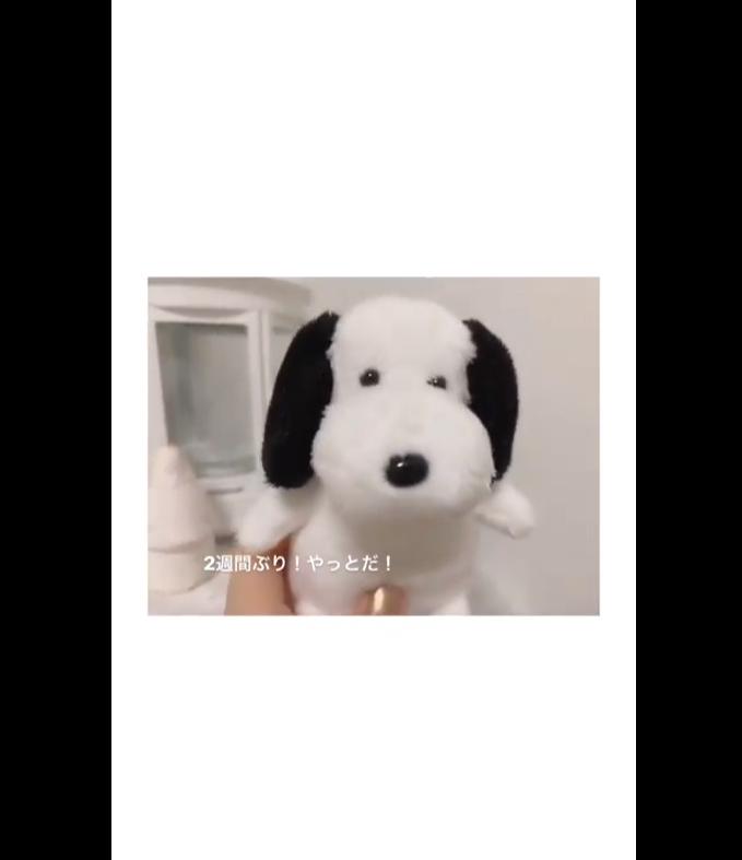 2019y09m05d_233257286