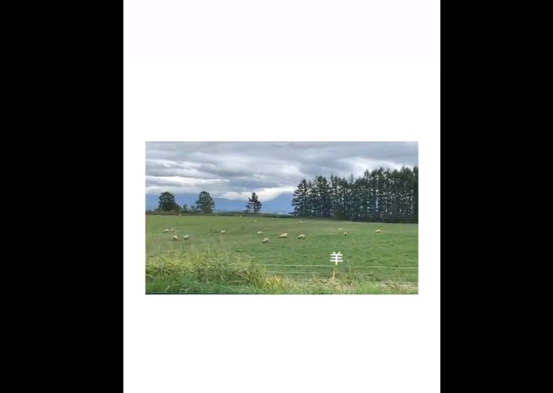 2019y10m09d_064700631