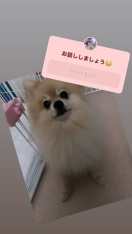 67576627_1263945483767127_4921823759925882726_n